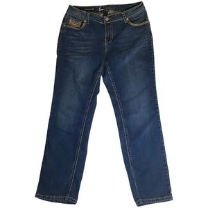 Lane Bryant Classic Blue Straight Leg Jeans, Embellished, Stretch, Plus Size 14